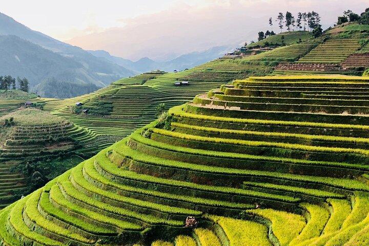 3-Day Sapa Adventure: Trekking Terraces and Hill Tribe Villages