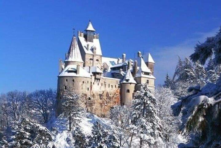 Peles Castle, Cantacuzino Castle and Bran Castle Tour From Brasov