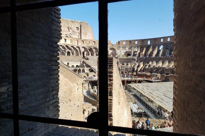 Rome: Colosseum Gladiator Arena Forum and Palatine Guided Tour