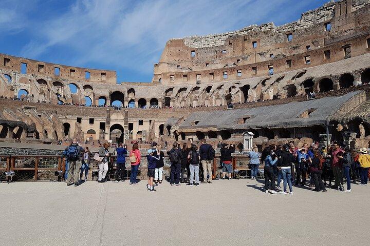 Rome: Colosseum Gladiator Arena Forum and Palatine Guided Tour