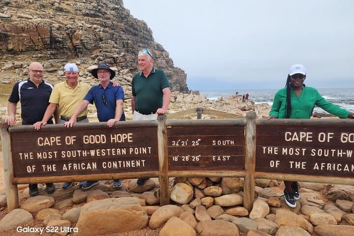 Cape Peninsula penguins, seals and wine Tasting Sharing Tour