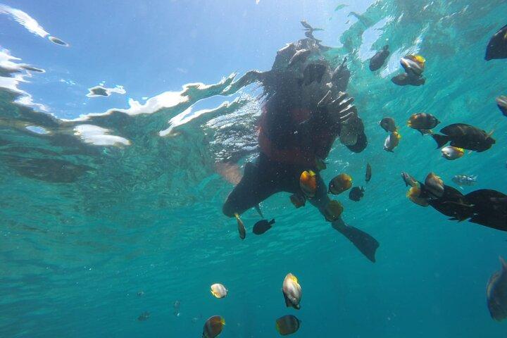 Bali : Snorkeling Trip - Blue Lagoon & Tanjung Jepun with Lunch