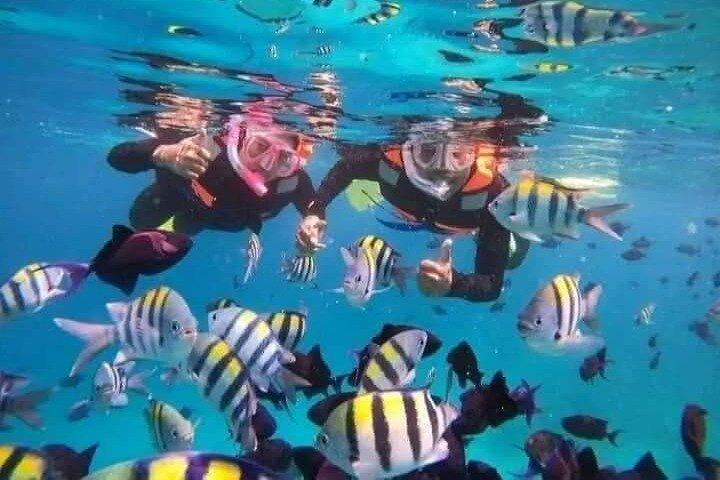 Bali : Snorkeling Trip - Blue Lagoon & Tanjung Jepun with Lunch