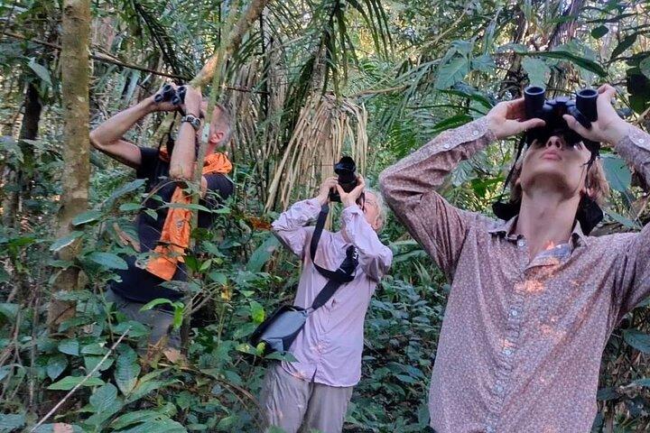 amazon adventure 4 days 3 nights