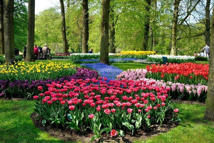 Keukenhof - spring garden from Rotterdam, Delf & The Hague