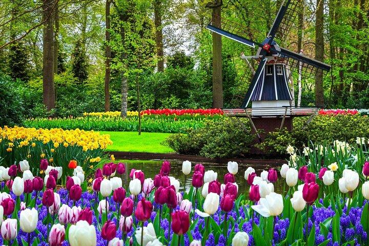 Keukenhof - spring garden from Rotterdam, Delf & The Hague