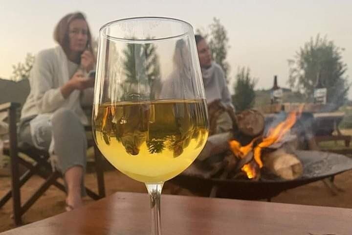 Private Wine Tasting Tour: Full Day visit 3 wineries and 12 wines