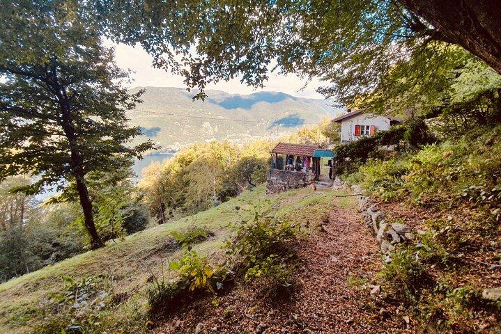 Hike in Blevio’s Forest for a Private Yoga Class