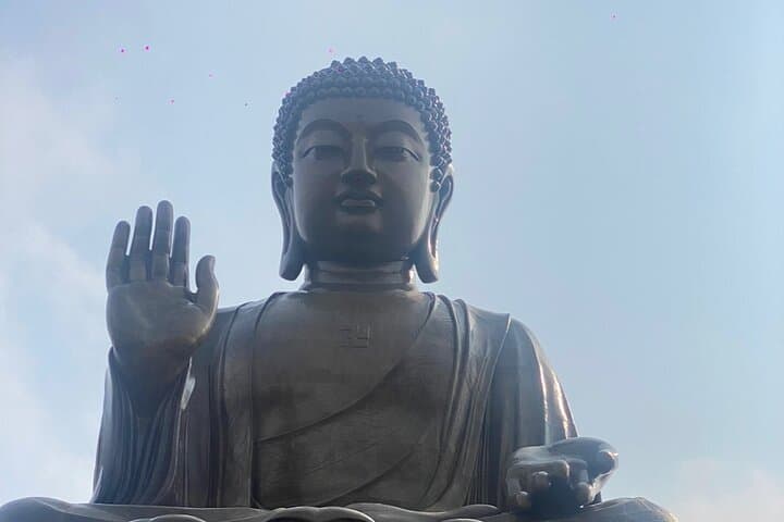Full Day Private Trip in Hong Kong( impeccable local )walk tour