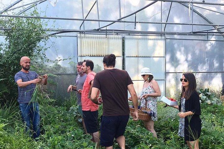 Traditional Cooking Class, Farm Tour & Lunch in the Douro Valley