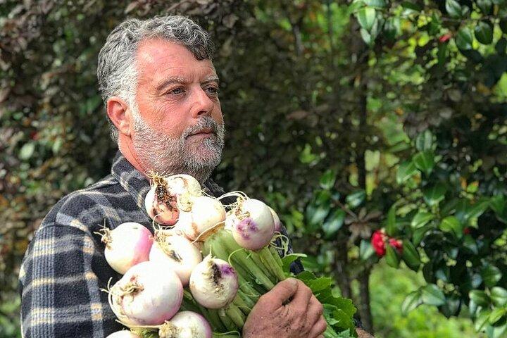 Traditional Cooking Class, Farm Tour & Lunch in the Douro Valley