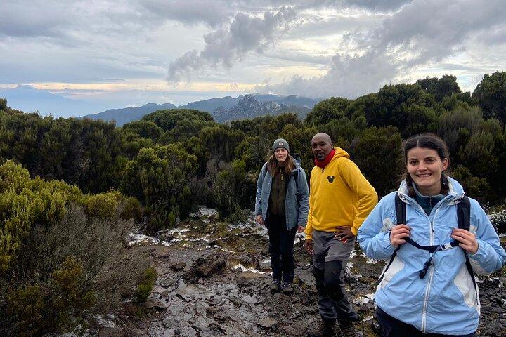 8-Day Shira Route Kilimanjaro Climb Tour
