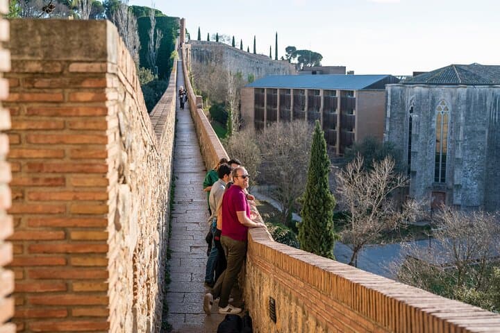 Private Dali Museum, Besalú & Girona Tour from Barcelona