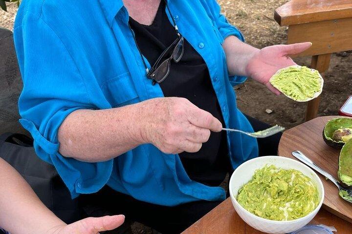 Experience: Organic Coffee, Avocados, Honey & More!