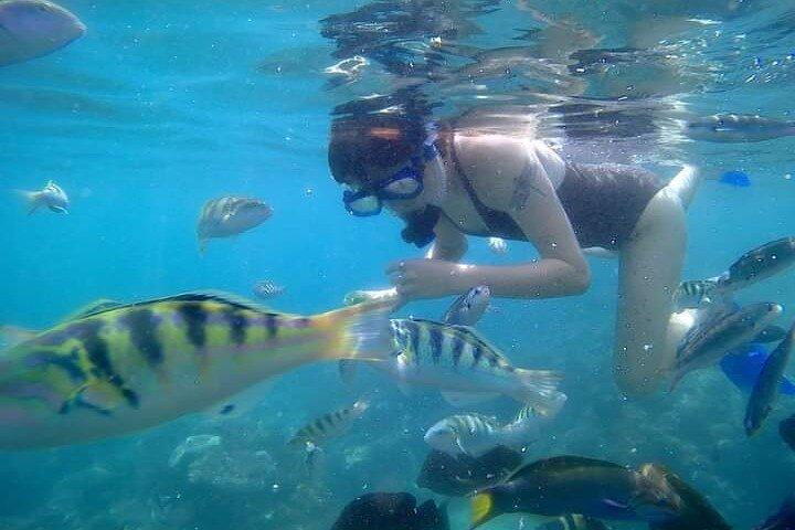 Bali : Snorkeling Trip - Blue Lagoon & Tanjung Jepun with Lunch