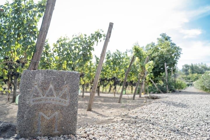 6 Hour Pompeii and Winery Private Tour