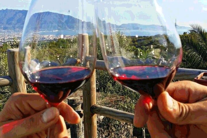 6 Hour Pompeii and Winery Private Tour