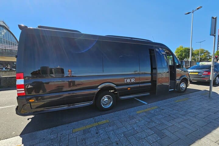 1-15 pers private minibus rental / hire in Amsterdam with driver