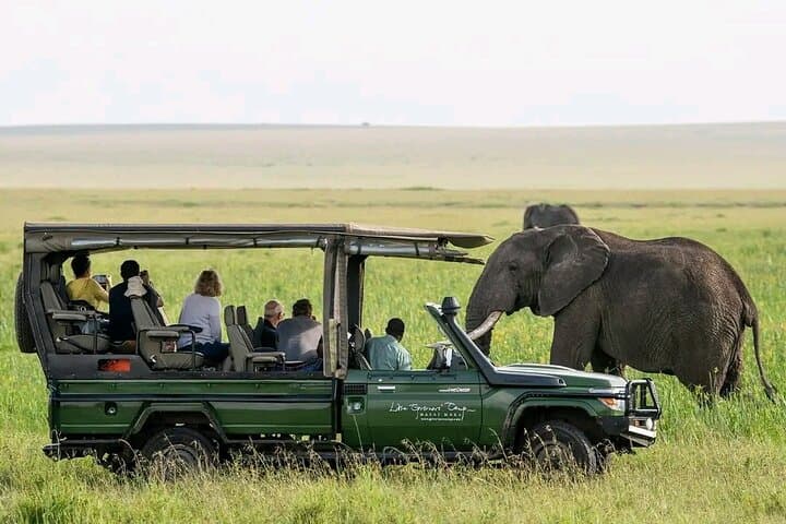 2 Days 1 Night Safari to Selous Game Reserve From Zanzibar