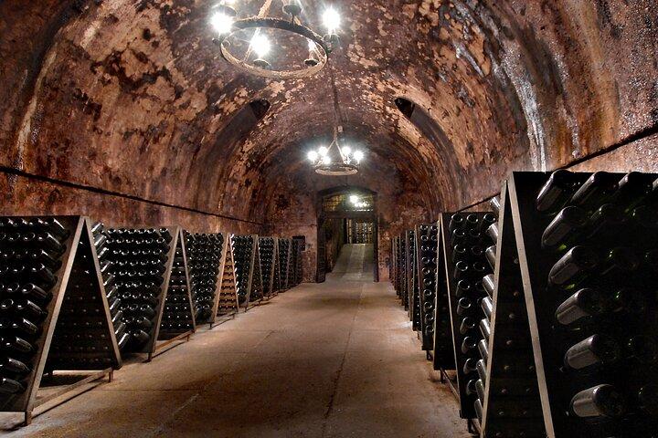 From Milan Full Day in Franciacorta 2 Wineries and Lunch