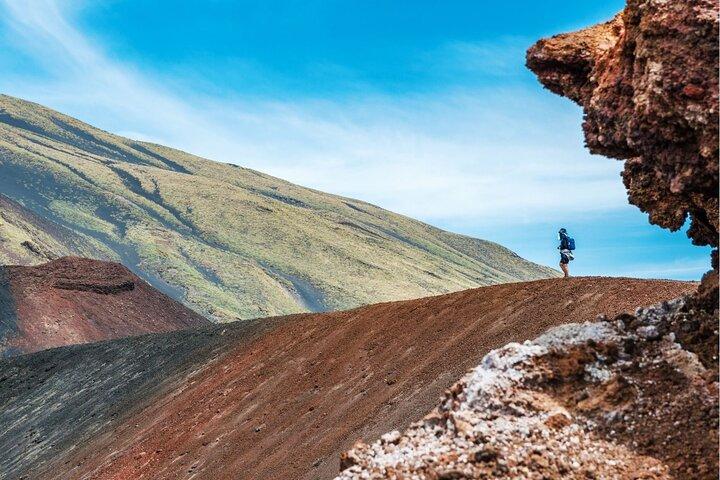 From Palermo to Taormina via Mount Etna (Multilingual Service)