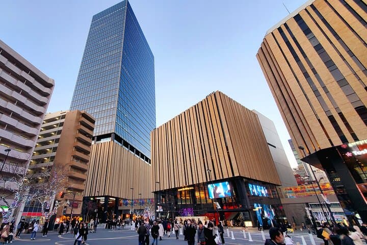Tokyo Full-Day Private Tour (Customizable)