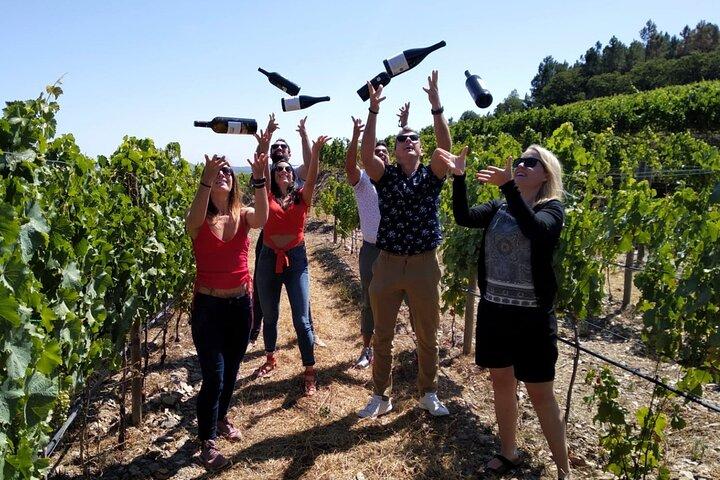 Douro Valley Small-Group Wine Tour with Lunch and River Cruise