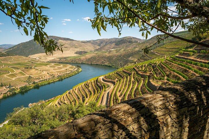 Douro Valley Small-Group Wine Tour with Lunch and River Cruise