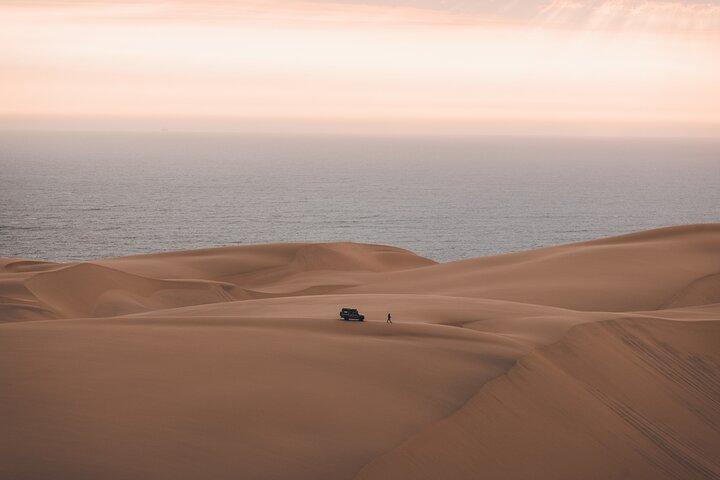 Mola Mola Marine Dune Experience
