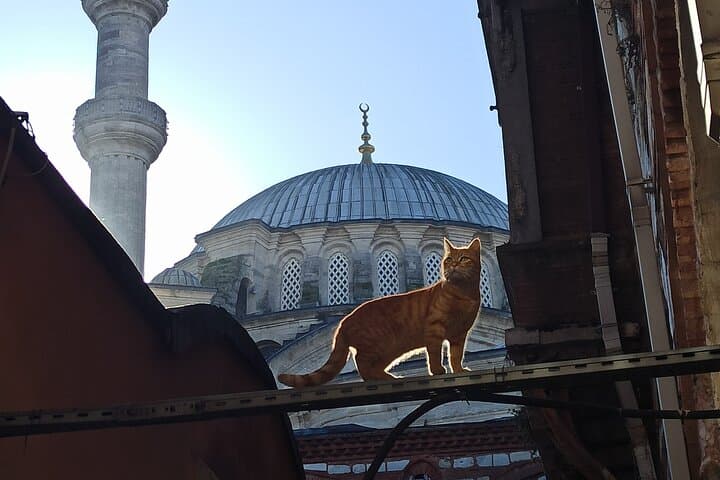 Photograph the Hidden Corners of the Grand Bazaar in Istanbul