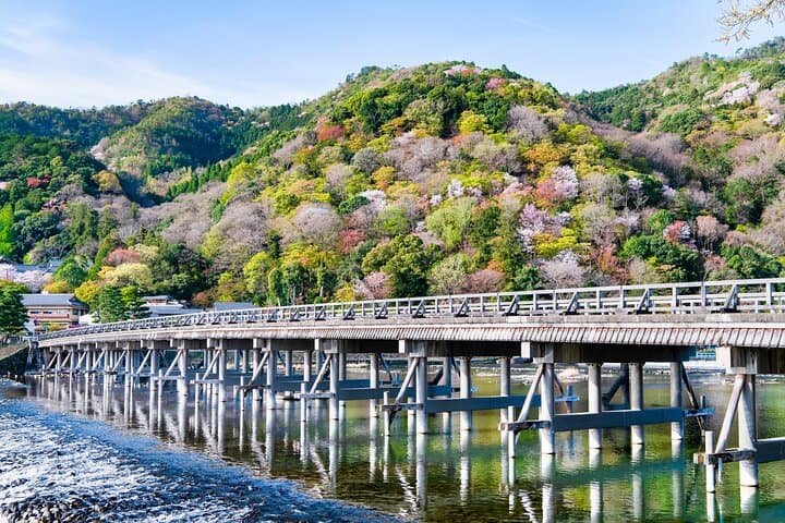 One-Day Tour of Kyoto's Highlights from Osaka/Kyoto
