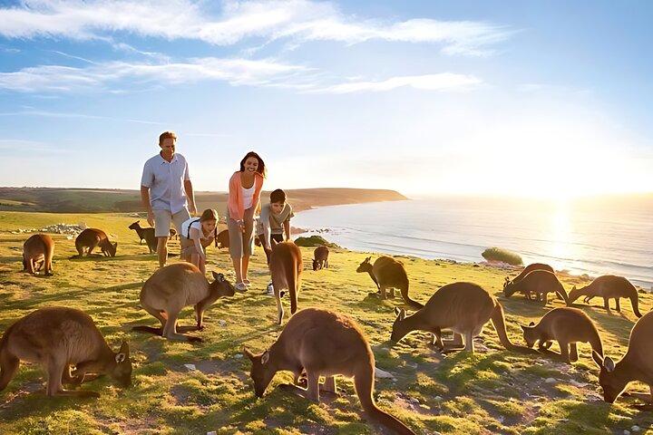 12 Apostles Great Ocean Road Tour From Melbourne