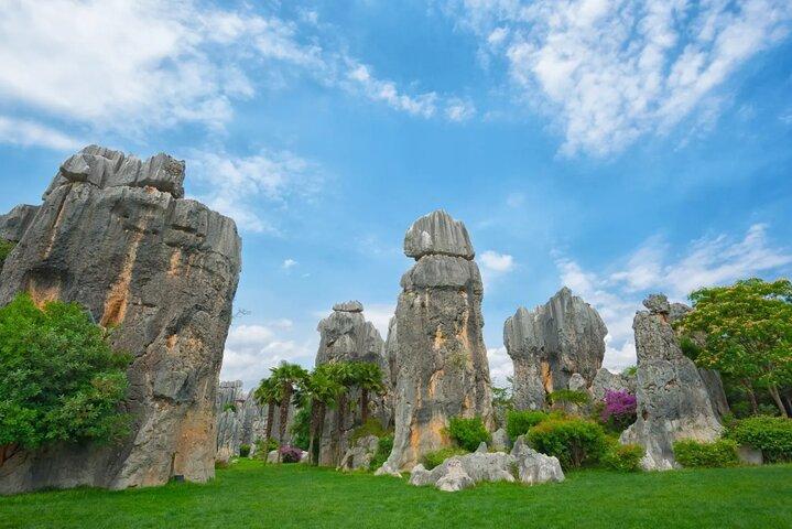 Private day tour to Kunming Stone Forest and Jiuxiang &lunch