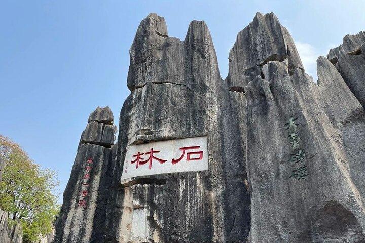 Private day tour to Kunming Stone Forest and Jiuxiang &lunch