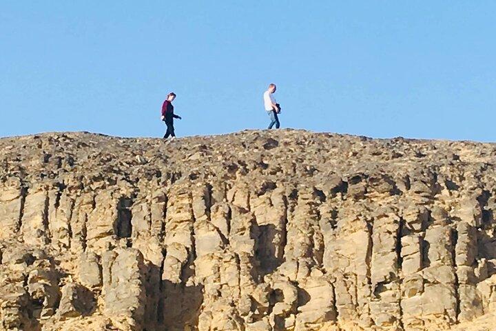 Wadi Al-Hitan Private Valley of the Whales Day Tour From Cairo