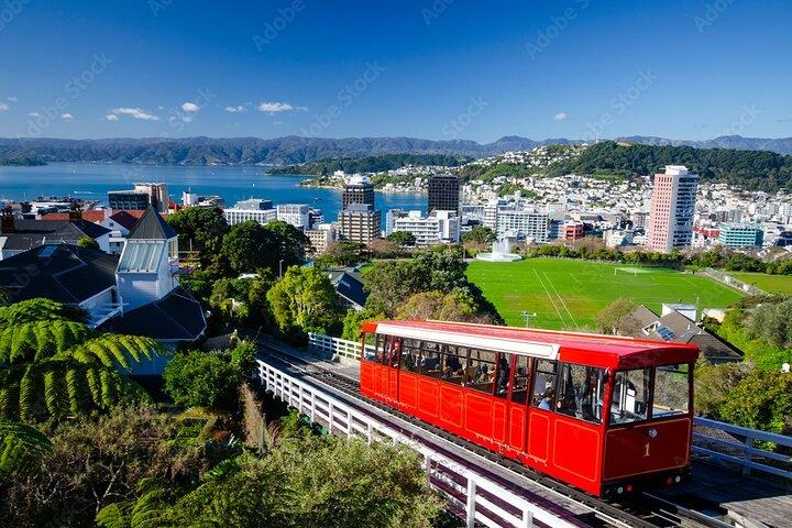 Guided Small Group Walking Tour in Wellington