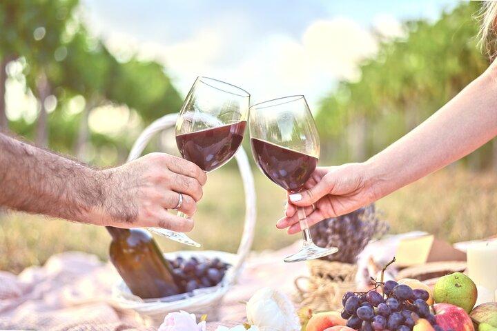 Full Day Tour in Chianti with Transportation Included