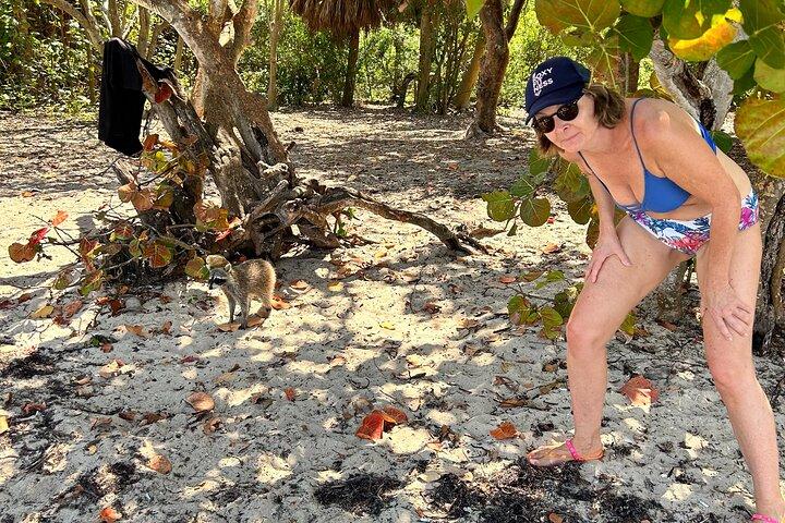 Raccoon Island Boat Tour - Indian Creek, Sanbar and Raccoons