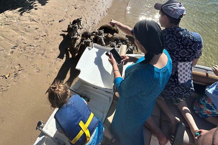 Raccoon Island Boat Tour - Indian Creek, Sanbar and Raccoons