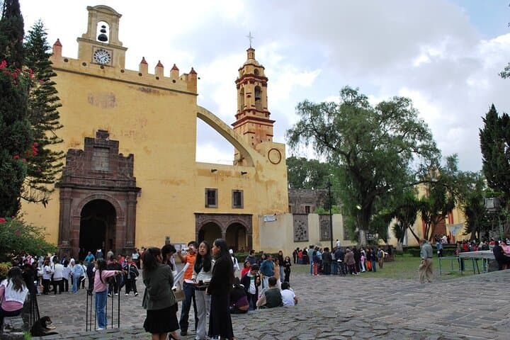 Explore Xochimilco’s Canals, Markets, Art & Anahuacalli Museum