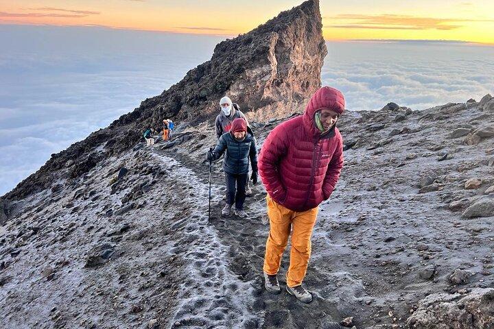 7 Day Rongai Route Kilimanjaro Climb