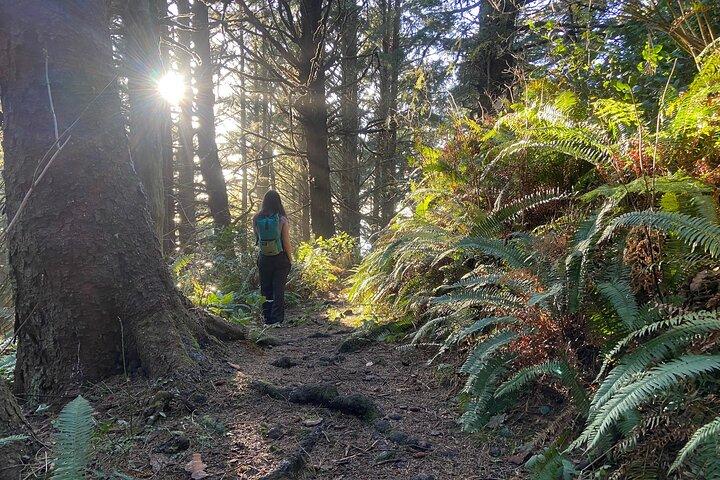 Cannon Beach Hiking Tour on the Oregon Coast