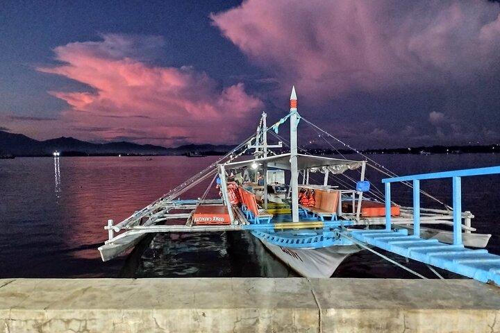 Puerto Princesa Firefly Watching Bay Cruise with Dinner