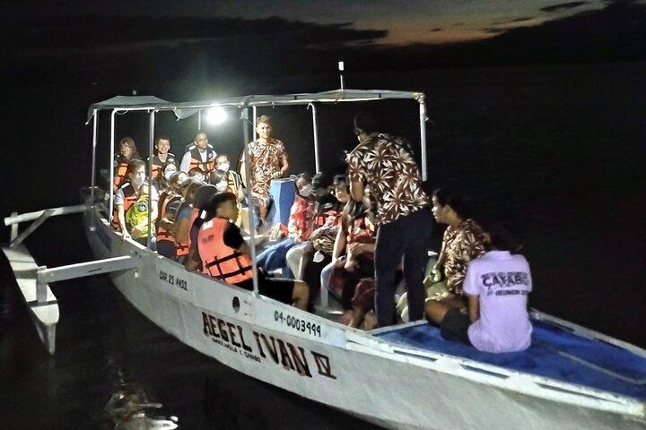 Puerto Princesa Firefly Watching Bay Cruise with Dinner
