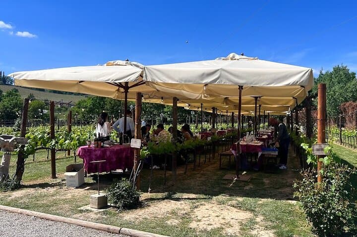 Siena and San Gimignano from Rome: Private Wine Tour in Tuscany