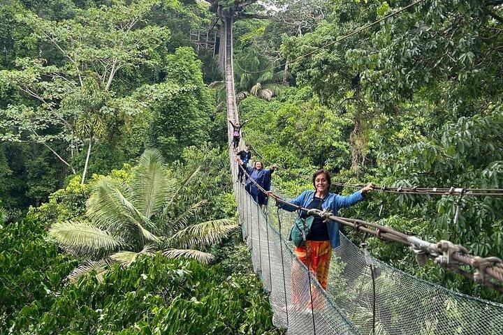Canopy Walkway, Zip Line, Kayak, and Monkey Island in Tambopata.