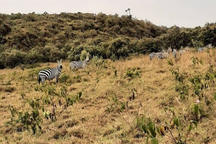 Guided Hiking at Mt Longonot