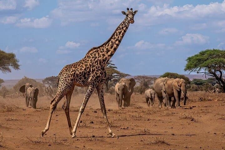 Guided Hiking at Mt Longonot