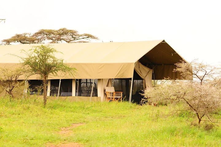 8 Days Kenya and Tanzania Driving Safari Holiday