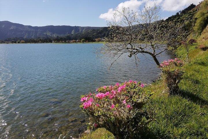 Guided Tour to the Sete Cidades Volcano in São Miguel Azores